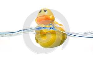 Toy Ducky in water