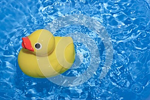 Toy ducky in water