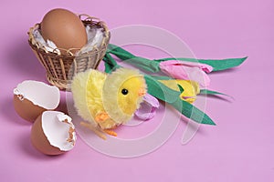 Toy easter chick creacking from eggshell on pink background.  Chick hatching from cracked chick egg. Copy space