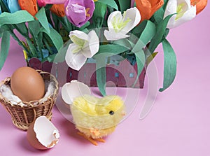 Toy easter chick creacking from eggshell and spring tulip flowers on pink background.  Chick hatching from cracked chick egg.