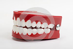 Toy Fake Teeth.