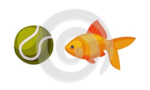 Toy fish for cats and ball. Supplies for domestic animals set cartoon vector illustration
