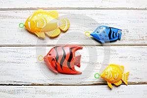 Toy Fishes