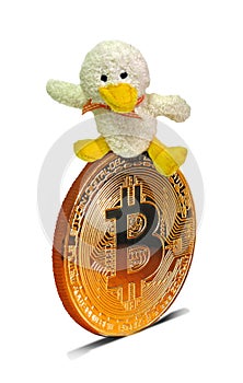 Toy fluffy duck bird riding gold cryptocurrency bitcoin blockchain virtual money cash internet banking online peer finances gold