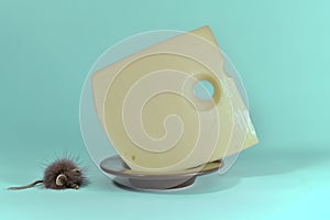 Toy fluffy mouse crept up to a piece of cheese with a hole, on a turquoise background
