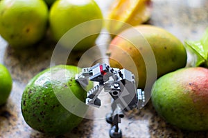 Toy with fresh fruits on table