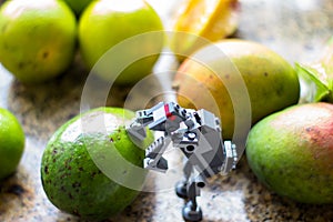Toy with fresh fruits on table