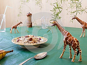 Toy giraffes nibble onplants from the kitchen table as toy animals take over a house