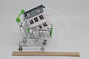 Toy grocery cart, derkvyanny ruler, cost estimate