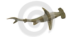 Toy hammerhead shark