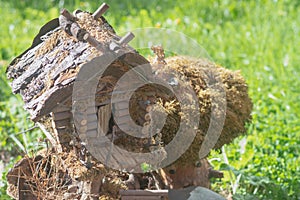 A toy homemade house of a fairy-tale creature made of logs and branches in the park