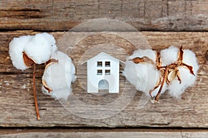 Toy House and cotton flowers on wooden background