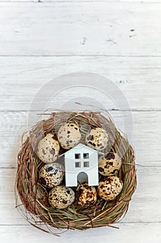 Toy house in nest on wooden background