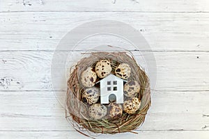 Toy house in nest on wooden background