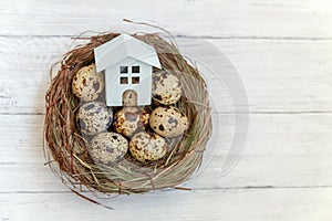 Toy house in nest on wooden background