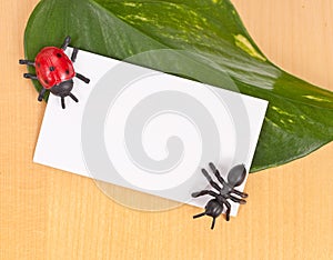 Toy Insects with Blank Card