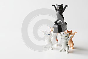 Toy kittens carry black coffin. Concept of funeral procession dancing with a coffin. White background. Black humor. Stay at home