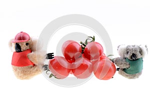 Toy koala collecting Cherry tomato