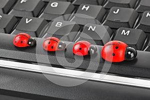 Toy ladybirds on computer keyboard