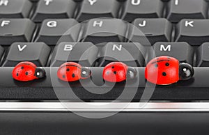 Toy ladybirds on computer keyboard