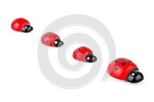 Toy ladybirds