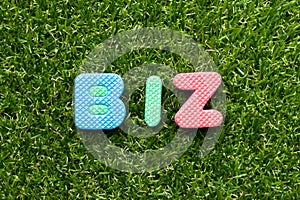 Toy letter in word biz abbreviation of business on green grass background