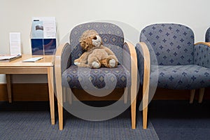 Toy lion in hospital waiting room photo