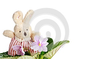 Toy little doe rabbit with violet flowers