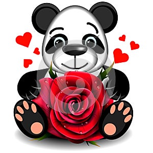 Toy love Panda with realistic red rose