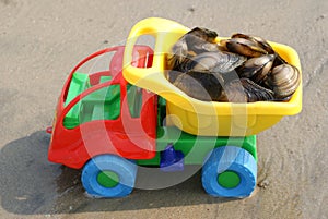 The toy machine transports seafood