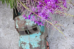 toy metal machine with traces of corrosion. Rust on the machine's gland. Flowers of fireweed by car