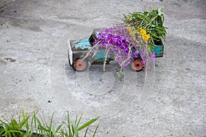 toy metal machine with traces of corrosion. Rust on the machine's gland. Flowers of fireweed by car