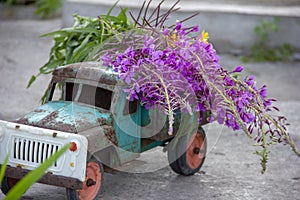 toy metal machine with traces of corrosion. Rust on the machine's gland. Flowers of fireweed by car