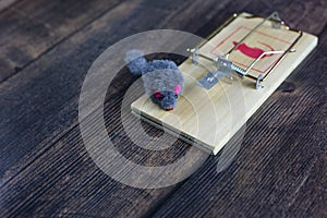 Toy mouse caught in a mousetrap