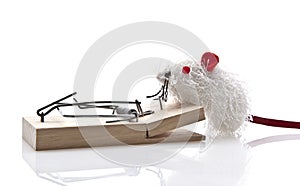 Toy Mouse and Mousetrap