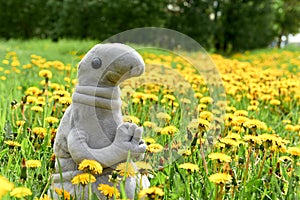 Toy sits in grass and flowers june photo