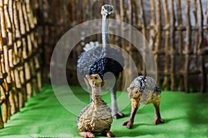 Toy ostriches