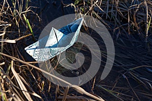 A toy paper boat out of a dollar bill stuck in the undergrowth