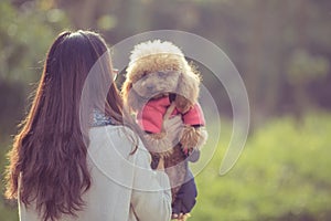 Toy Poodle playing with its female master in a park