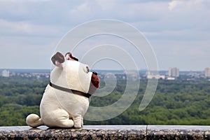toy pug nature pug toy city walking the soft toy of a pug dog in the city on a bridge and city skyline background with a sky, big