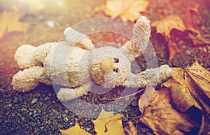 Toy rabbit and autumn leaves on road or ground