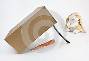 Toy rabbit, carrot, box and stick trap