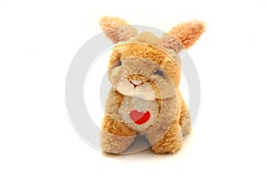 Toy rabbit with heart in front