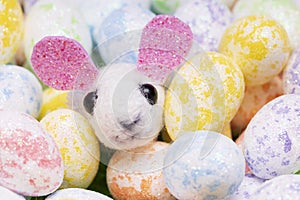 Toy rabbit with multi-colored Easter eggs. Easter holiday
