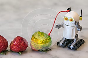 Toy robot with strawberries