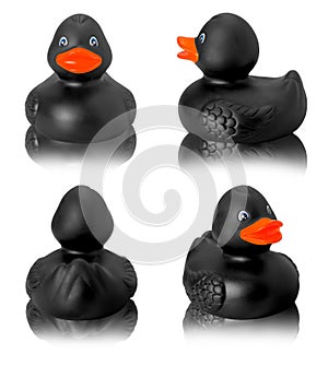 Toy rubber black duck isolated on white