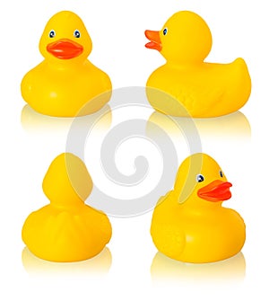 Toy rubber duck