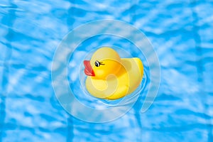 Toy rubber duck. Yellow inflatable plastic toy for kids swim in blue water of summer pool. Hello summer concept