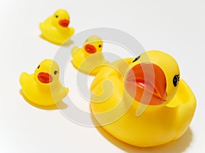 Toy Rubber Ducks