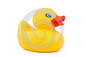 Toy rubber ducky
